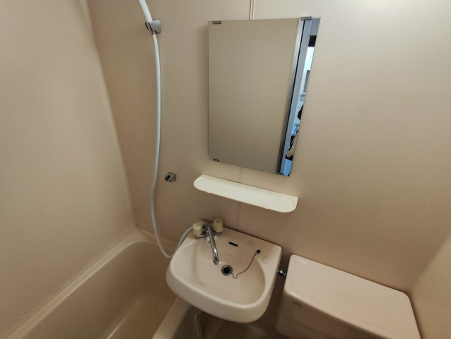 キャッスルアメニティの洗面所