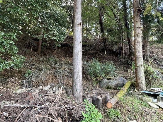 【外観】 | 中伊豆ニューライフヴィレッジ　売地