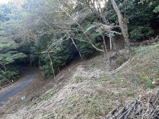 【外観】 | 中伊豆ニューライフヴィレッジ　売地