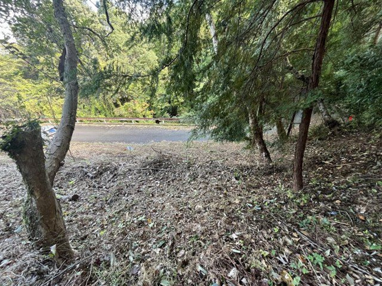 【外観】 | 中伊豆ニューライフヴィレッジ　売地