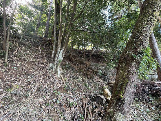 【外観】 | 中伊豆ニューライフヴィレッジ　売地