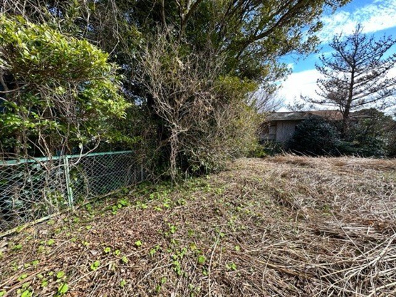 【外観】 | 大室高原別荘地　売地