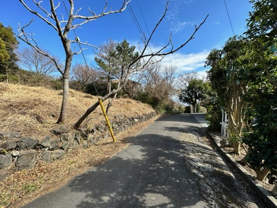 【前面道路含む現地写真】 | 大室高原別荘地　売地