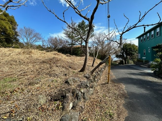 【前面道路含む現地写真】 | 大室高原別荘地　売地