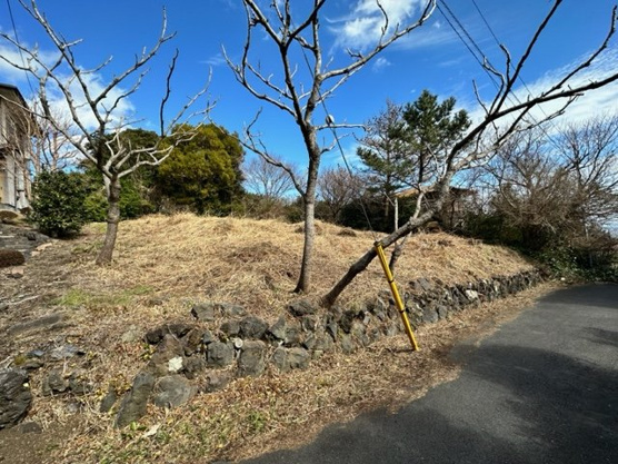 【前面道路含む現地写真】 | 大室高原別荘地　売地