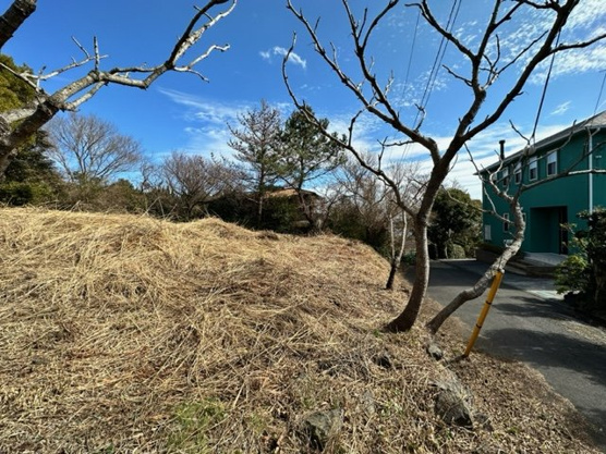 【外観】 | 大室高原別荘地　売地