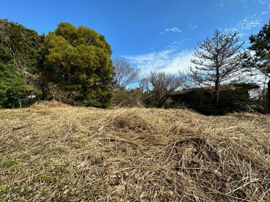 【外観】 | 大室高原別荘地　売地