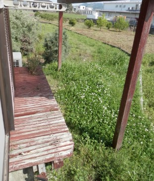 【庭】 | フラワーハウス