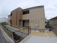 コンソラータの画像