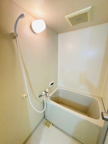 ヴェルドミールステラの浴室