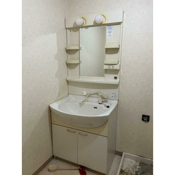 ルシェール西院の洗面所