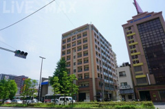 サヴォイバンヤンツリーの画像