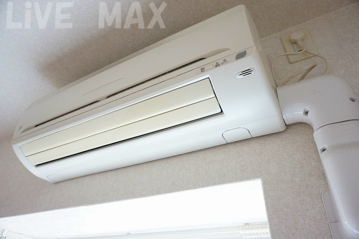 【その他】サヴォイバンヤンツリー 