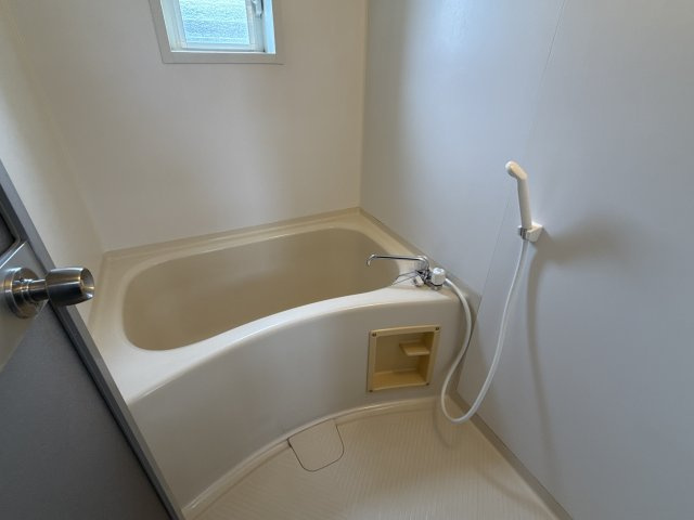 ウェルネス垣内の浴室