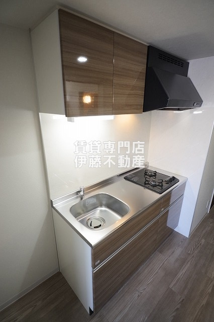 RAFFLE OZONEⅡ -South Garden-のキッチン