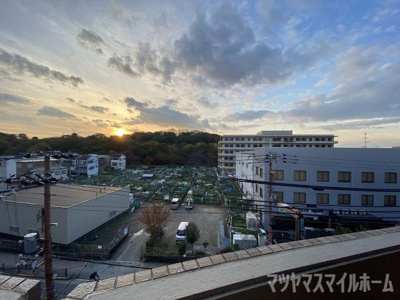 【展望】 | ミヤビパレス