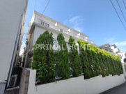 ブルーマリンヒルの画像