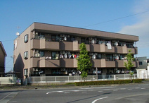 ロイヤルレインボー中主の画像