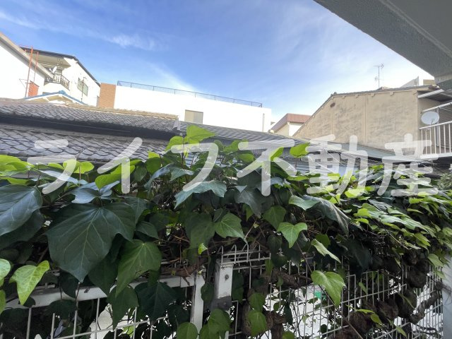 シャトーユキの展望