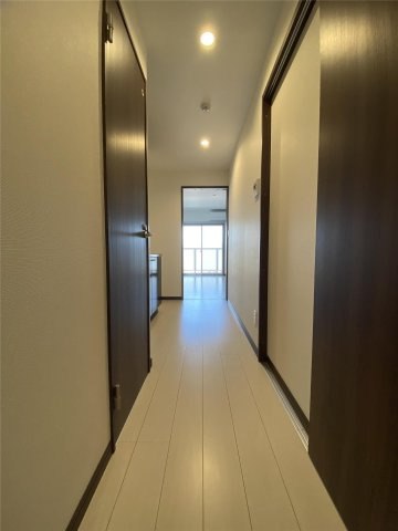 菊池郡菊陽町大字津久礼の賃貸マンションの玄関