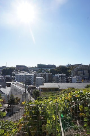 メルファ保土ヶ谷の展望|メルファ保土ヶ谷　眺望