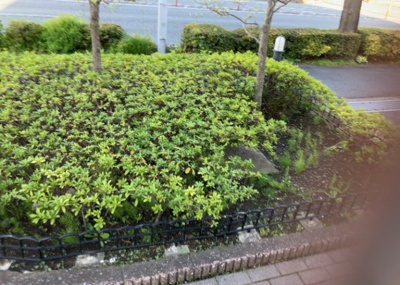 【中庭】 | サンクレイドル橋本 | 中庭（パティオ）とは、一つの建築物の内部に設けられた、壁などで囲われている庭のことを指します。コの字型、ロの字型が主流ですが、L字型の中庭もあります。最近では、インテリア性の高さからも人気があります。