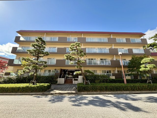 住吉川ハイツの外観|前面道路は並木が続く十分な幅の歩道となっています。