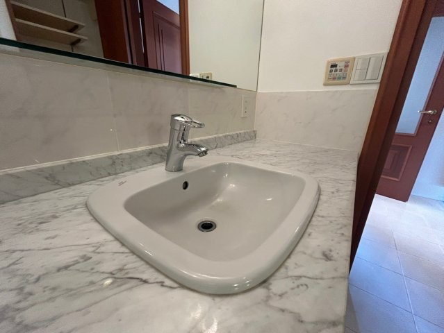 クオリア三正の洗面所