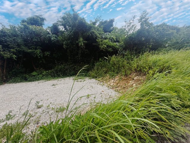 【土地】八重瀬町安里（全3区画）の外観|【現地撮影】2025.6月
すぐご案内できます♪