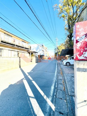 ルピナスの周辺