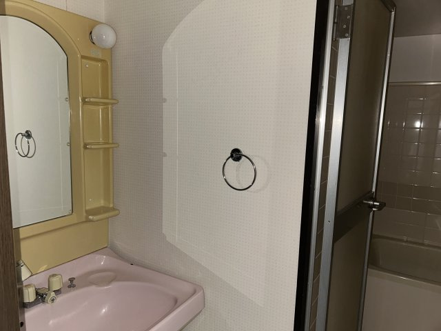 シャルマンフジ岩出参番館の洗面所