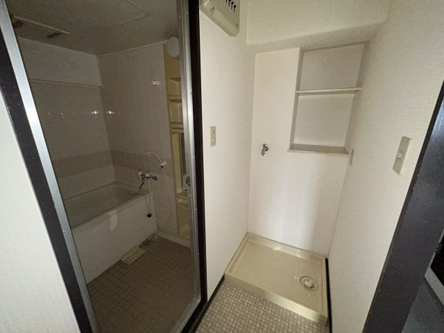 シャルマンフジ岩出参番館の洗面所