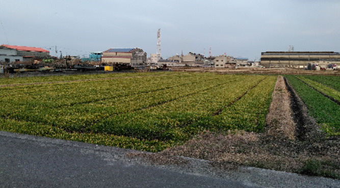 西条市港75-1.76-1　売土地