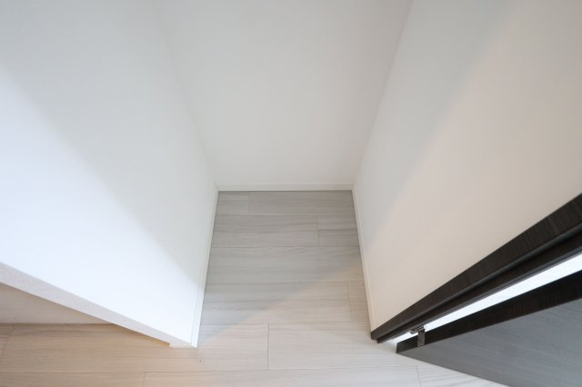 ラドゥセールシンオオサカのその他