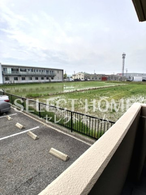 【展望】 | ロイヤルサルビア