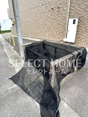  | ロイヤルサルビア