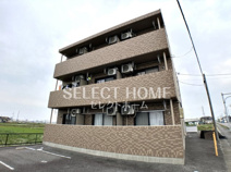 ロイヤルサルビアの画像