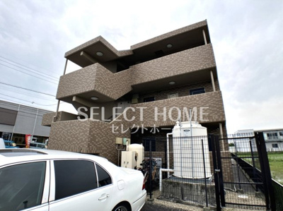  | ロイヤルサルビア