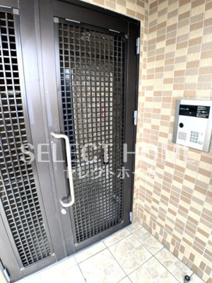  | ロイヤルサルビア