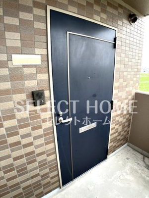  | ロイヤルサルビア