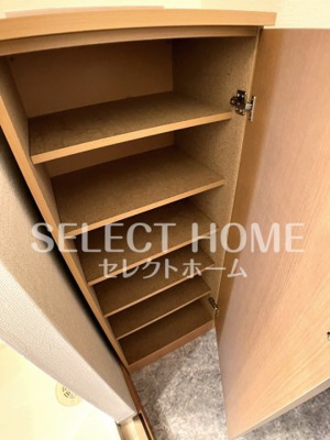  | ロイヤルサルビア