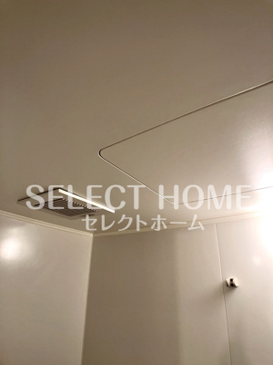  | ロイヤルサルビア