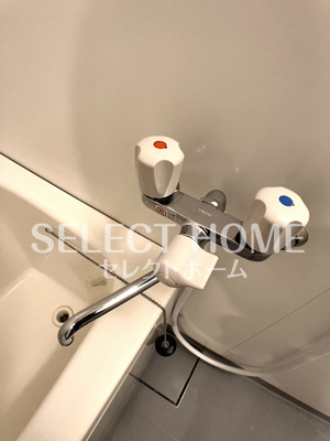  | ロイヤルサルビア