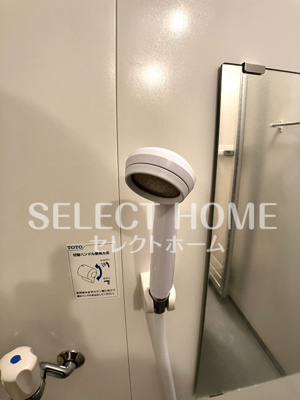  | ロイヤルサルビア