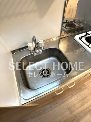  | ロイヤルサルビア