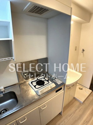  | ロイヤルサルビア