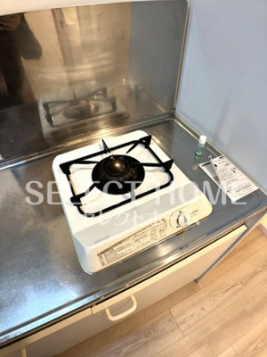  | ロイヤルサルビア