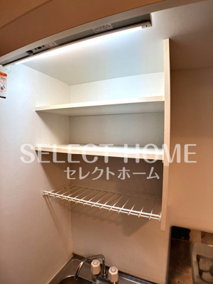  | ロイヤルサルビア