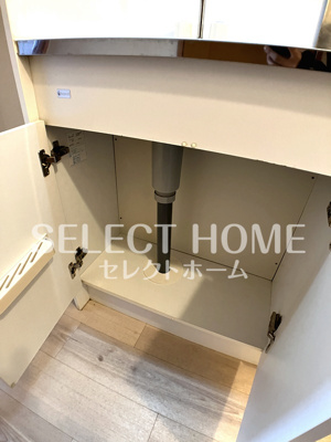  | ロイヤルサルビア