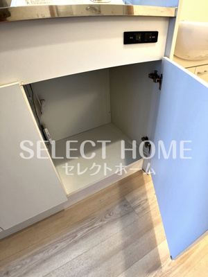  | ロイヤルサルビア